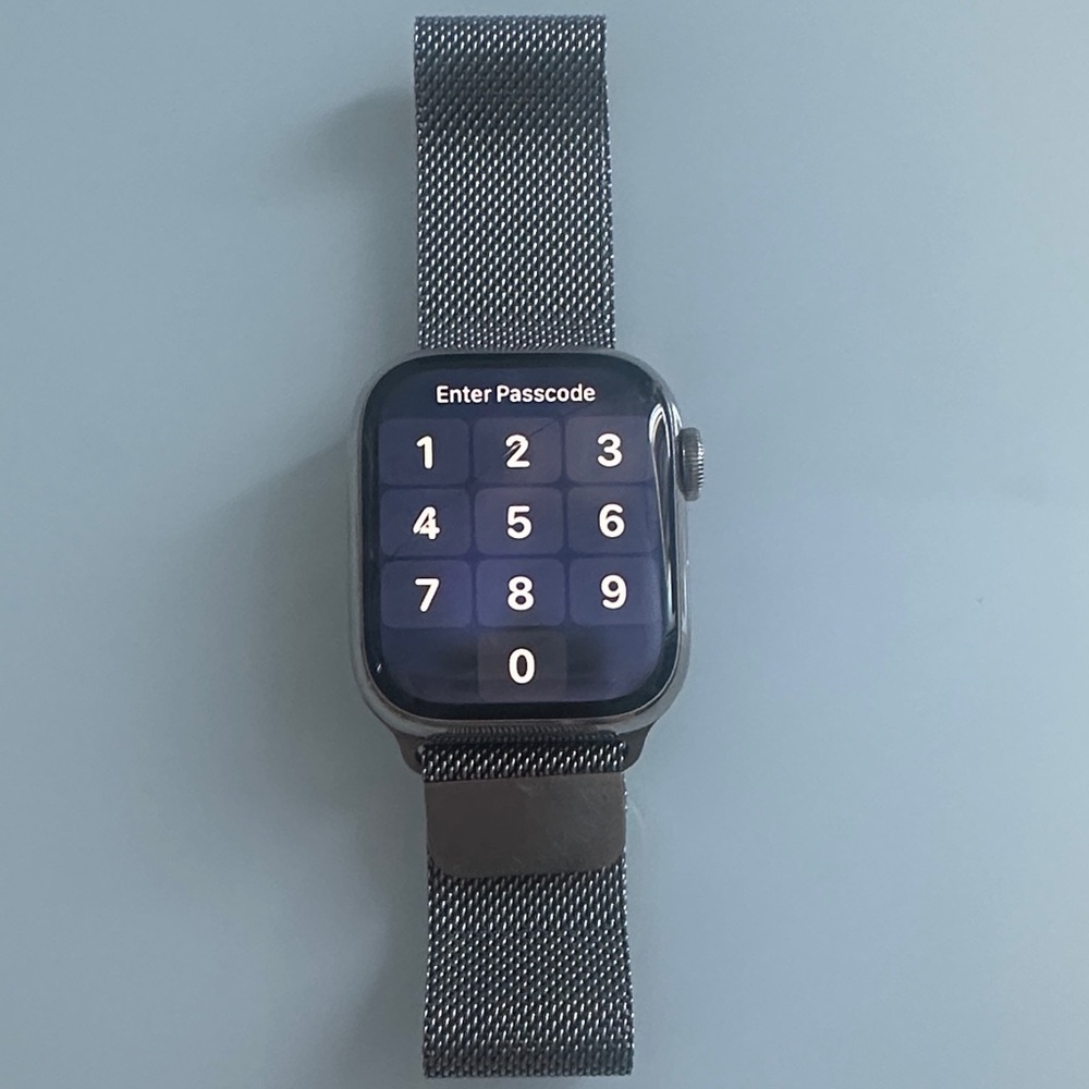 Stainless steel Apple Watch